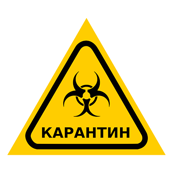 Знак «Карантин», Q13.6 (металл, сторона 200 мм)